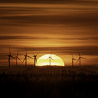 Buy canvas prints of Sunset behind Tick Fen windfarm, Cambridgeshire, 7th August 2022 by Andrew Sharpe