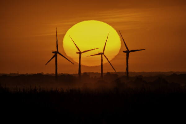 Sunset behind Tick Fen windfarm, Cambridgeshire, 12th August 202 Picture Board by Andrew Sharpe