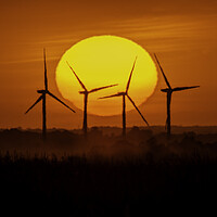 Buy canvas prints of Sunset behind Tick Fen windfarm, Cambridgeshire, 12th August 202 by Andrew Sharpe