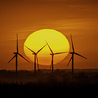 Buy canvas prints of Sunset behind Tick Fen windfarm, Cambridgeshire, 12th August 202 by Andrew Sharpe