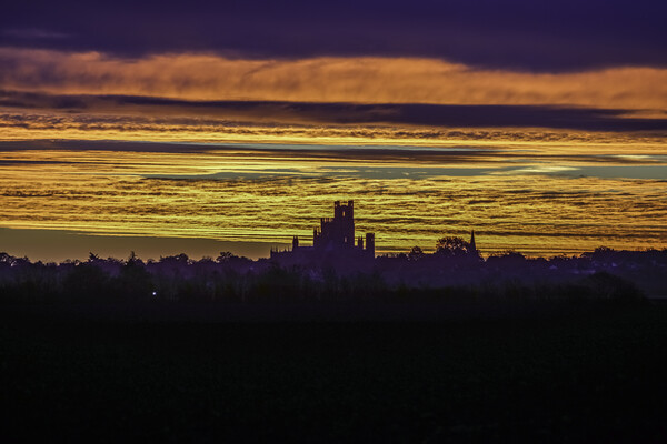 Dawn behind Ely Cathedral, 5th November 2022 Picture Board by Andrew Sharpe