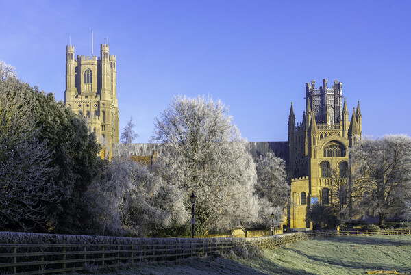 Frosty, misty morning in Ely, Cambridgeshire, 22nd January 2023 Picture Board by Andrew Sharpe