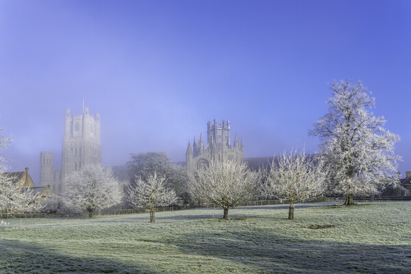 Frosty, misty morning in Ely, Cambridgeshire, 22nd January 2023 Picture Board by Andrew Sharpe
