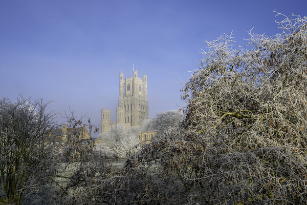 Frosty, misty morning in Ely, Cambridgeshire, 22nd January 2023 Picture Board by Andrew Sharpe