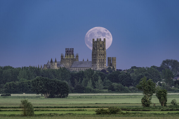 Moonrise behind Ely Cathedral, 3rd June 2023 Picture Board by Andrew Sharpe