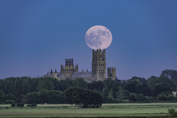 Moonrise behind Ely Cathedral, 3rd June 2023 Picture Board by Andrew Sharpe
