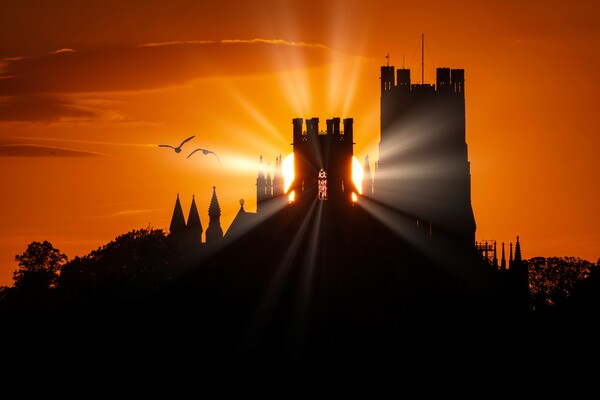 Sunset behind Ely Cathedrel, 23rd September 2021 Picture Board by Andrew Sharpe