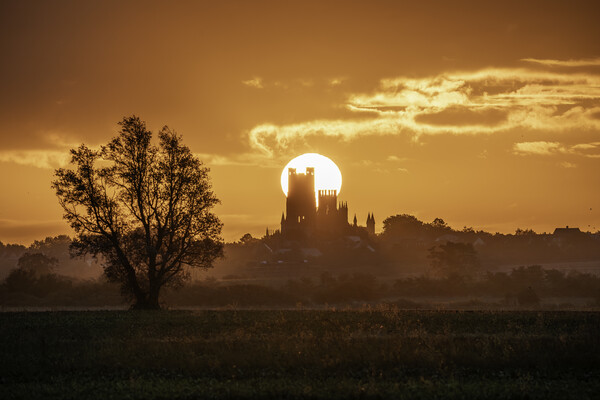 Sunrise behind Ely Cathedral, 23rd September 2023 Picture Board by Andrew Sharpe