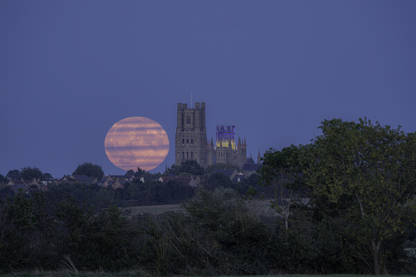 Harvest Moon rising behind Ely Cathedral, 29th September 2023 Picture Board by Andrew Sharpe