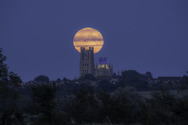 Harvest Moon rising behind Ely Cathedral, 29th September 2023 Picture Board by Andrew Sharpe