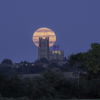 Buy canvas prints of Harvest Moon rising behind Ely Cathedral, 29th September 2023 by Andrew Sharpe