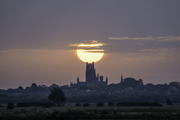 Sunrise behind Ely Cathedral, 7th October 2023 Picture Board by Andrew Sharpe