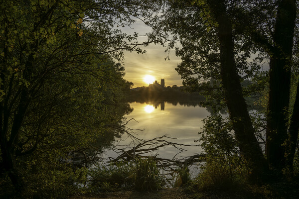 Sunset from Roswell Pits Nature Reserve, looking towards Ely Cat Picture Board by Andrew Sharpe