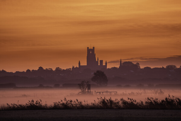 Pre-dawn over Ely, as seen from Coveney, 23rd October 2023 Picture Board by Andrew Sharpe