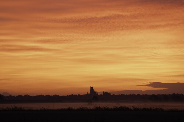 Pre-dawn over Ely, as seen from Coveney, 23rd October 2023 Picture Board by Andrew Sharpe