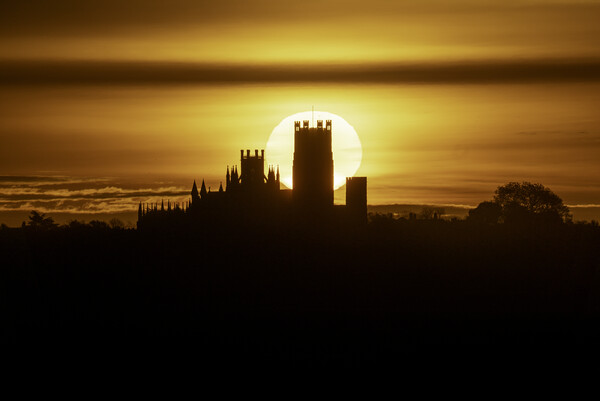 Dawn over Ely Cathedral, 22nd November 2023 Picture Board by Andrew Sharpe