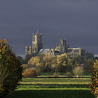 Buy canvas prints of Afternoon autumnal light on Ely Cathedral, 23rd November 2023 by Andrew Sharpe