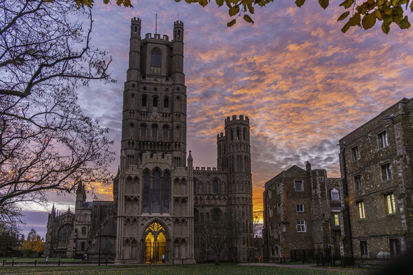 Colourful sunrise behind Ely Cathedral, 23rd November 2023 Picture Board by Andrew Sharpe