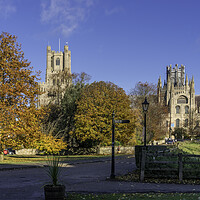 Buy canvas prints of Sunny autumnal day in Ely, Cambridgeshire, 23rd November 2023 by Andrew Sharpe