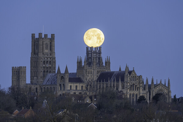 Moonset behind Ely Cathedral, 26th December 2023 Picture Board by Andrew Sharpe