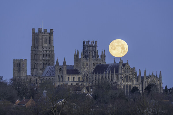 Moonset behind Ely Cathedral, 26th December 2023 Picture Board by Andrew Sharpe