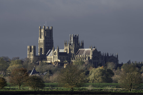Afternoon autumnal light on Ely Cathedral, 23rd November 2023 Picture Board by Andrew Sharpe