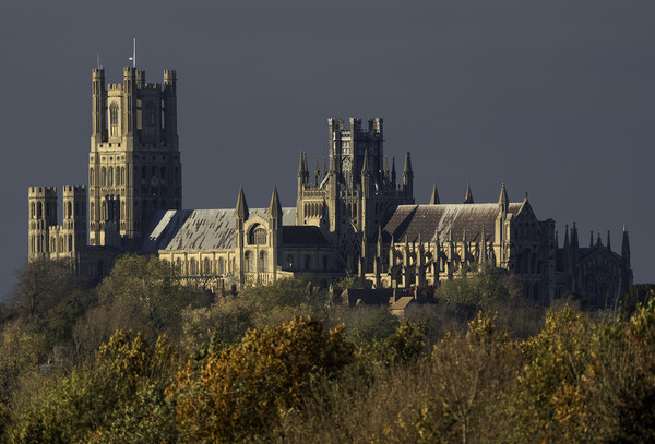 Afternoon autumnal light on Ely Cathedral, 23rd November 2023 Picture Board by Andrew Sharpe
