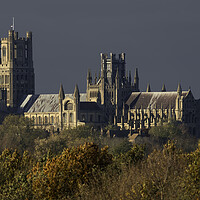 Buy canvas prints of Afternoon autumnal light on Ely Cathedral, 23rd November 2023 by Andrew Sharpe