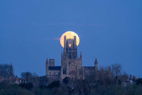 Moonset behind Ely Cathedral, 23rd March 2024 Picture Board by Andrew Sharpe