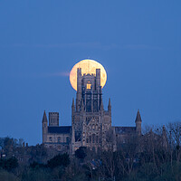 Buy canvas prints of Moonset behind Ely Cathedral, 23rd March 2024 by Andrew Sharpe