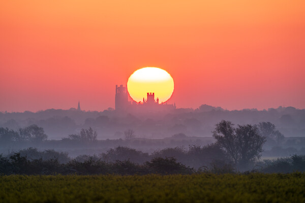 Sunrise behind Ely Cathedral, 29th April 2024 Picture Board by Andrew Sharpe