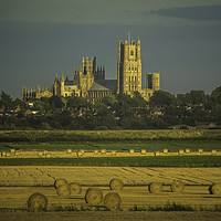 Buy canvas prints of Glowing Ely Cathedral at Harvest Time by Andrew Sharpe
