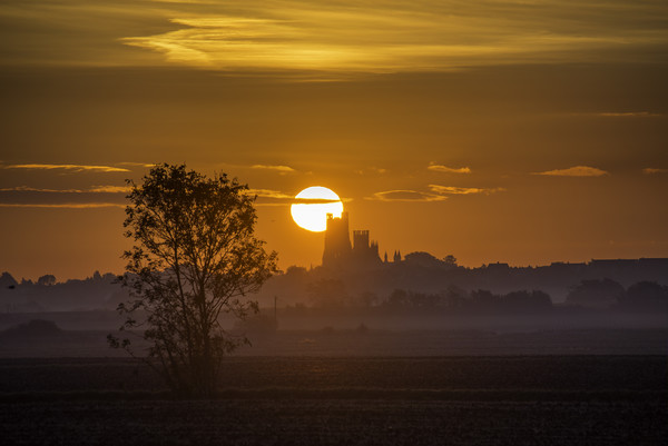 Dawn over Ely Picture Board by Andrew Sharpe
