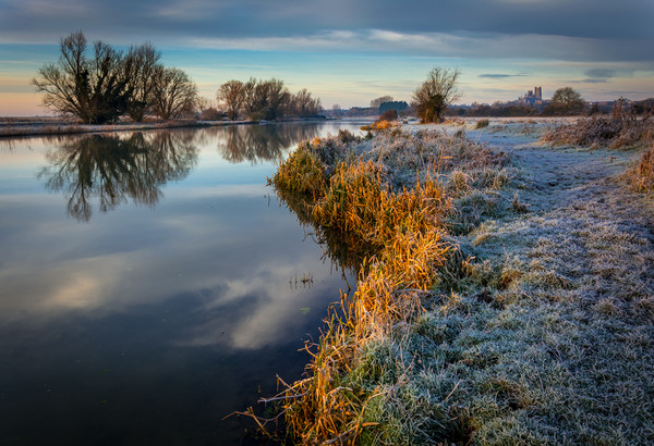 River Great Ouse, Ely Picture Board by Andrew Sharpe