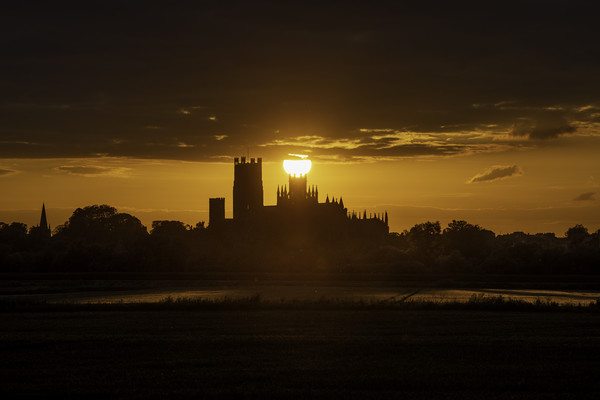 Ely Cathedral at sunset Picture Board by Andrew Sharpe