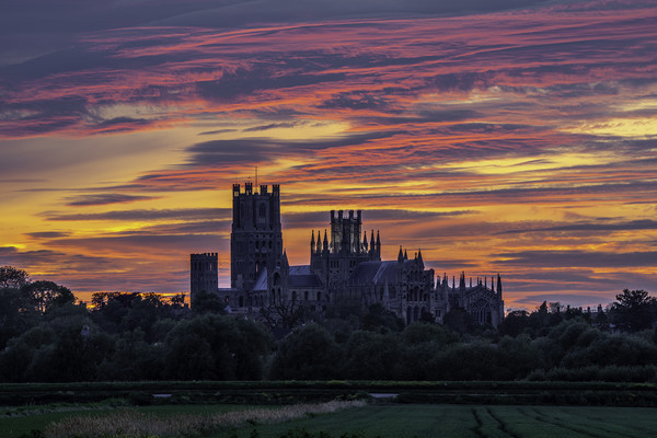 Sunset over Ely Cathedral Picture Board by Andrew Sharpe