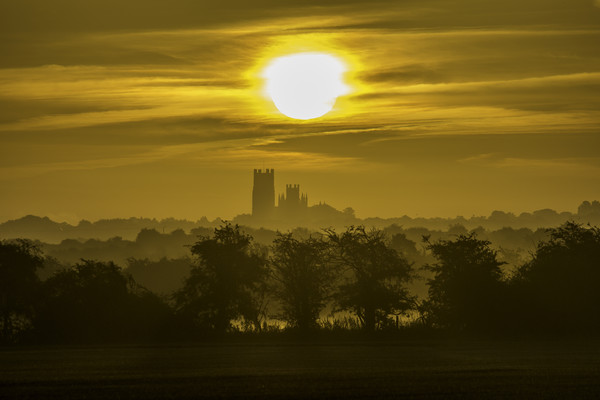 Sunrise over Ely Cathedral, 11th September 2016 Picture Board by Andrew Sharpe