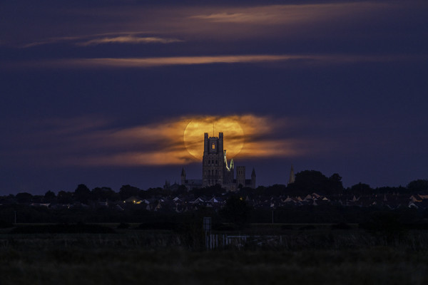 Harvest Moon rising behind Ely Cathedral Picture Board by Andrew Sharpe