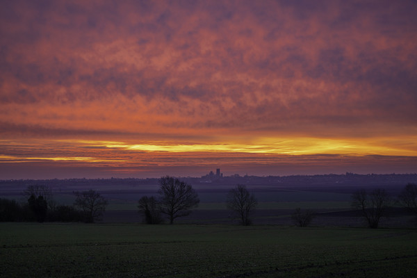 Dawn over Ely, 29th December 2019  Picture Board by Andrew Sharpe