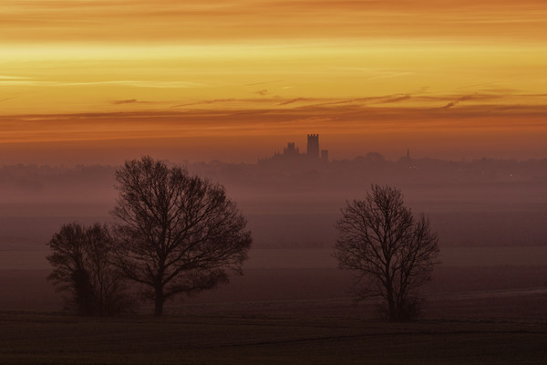 Dawn over Ely, 5th December 2019 Picture Board by Andrew Sharpe