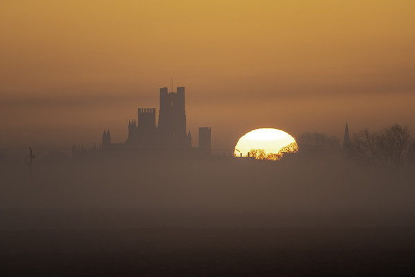 Dawn behind Ely Cathedral, 6th February 2020 Picture Board by Andrew Sharpe