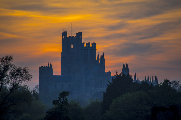 Ely Cathedral, at sunset Picture Board by Andrew Sharpe