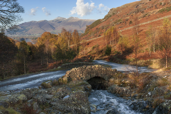 Ashness Bridge, Lake District Picture Board by Andrew Sharpe