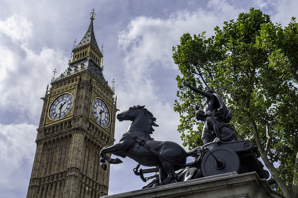 The Palace of Westminster, London Picture Board by Andrew Sharpe