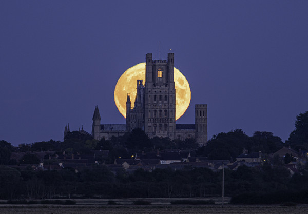 Harvest Moon rising behind Ely Cathedral, Cambridg Picture Board by Andrew Sharpe