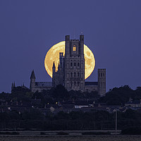 Buy canvas prints of Harvest Moon rising behind Ely Cathedral, Cambridg by Andrew Sharpe