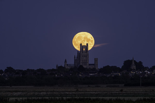 Harvest Moon rising behind Ely Cathedral, Cambridg Picture Board by Andrew Sharpe