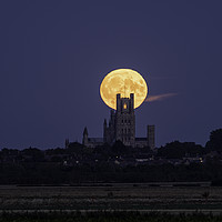 Buy canvas prints of Harvest Moon rising behind Ely Cathedral, Cambridg by Andrew Sharpe