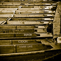 Buy canvas prints of Punts outside Trinity College, Cambridge by Andrew Sharpe