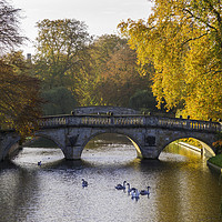 Buy canvas prints of Clare College Bridge, Cambridge by Andrew Sharpe